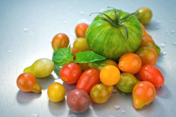 エアルームトマト - heirloom tomato zebra tomato tomato organic ストックフォトと画像