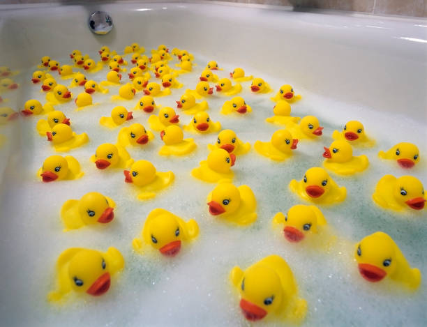 Rubber ducks in some suds water
