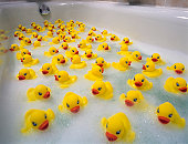 Sea of toy ducks