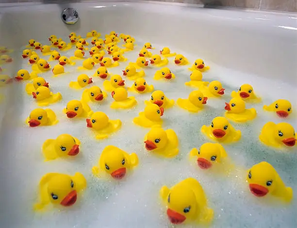 Photo of Sea of toy ducks