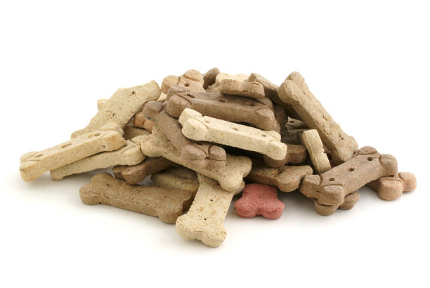 istock pile of dog bones 157332589