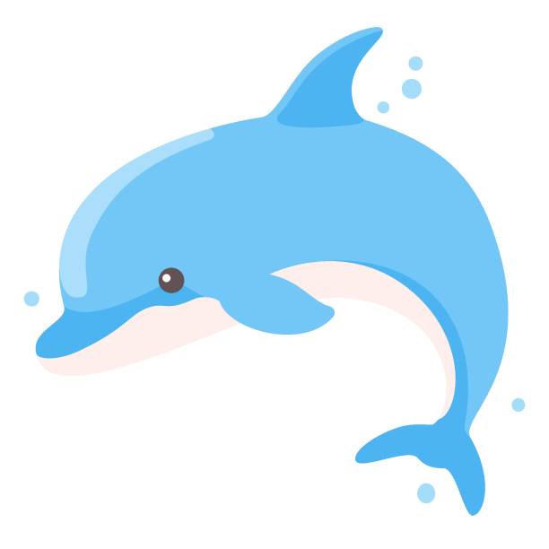 Print Children's flat vector illustration on white background. Cute blue dolphin bay cartoon stock illustrations
