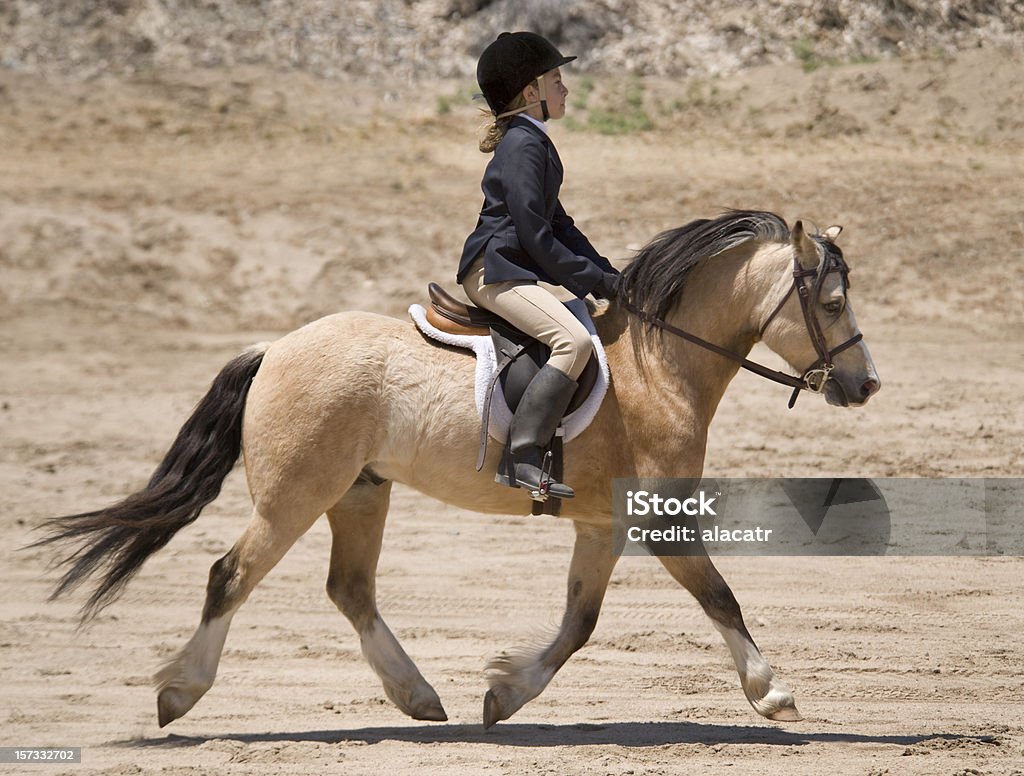 Fille et poney - Photo de Poney libre de droits