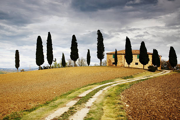 istock Way to the Villa of Tuscany 157332721