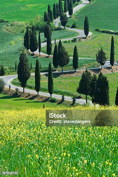 Foto de Rua Serpentina Val Dorcia e mais fotos de stock de Agricultura - Agricultura, Ajardinado, Amarelo