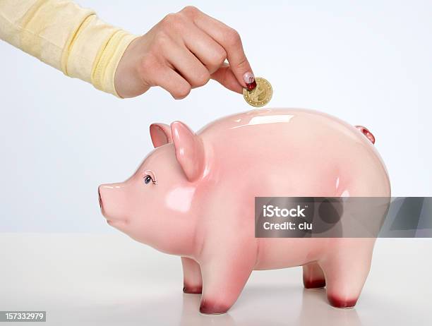 Gibt Eine Münze In Das Sparschwein Stockfoto und mehr Bilder von Sparschwein - Sparschwein, Seitenansicht, Sparbüchse