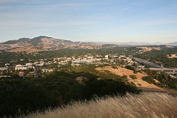 vista de la ciudad de walnut creek - mt diablo state park fotografías e imágenes de stock