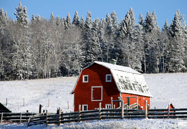 istock Classic Red Barn in Winter on the Great Plains 157333255