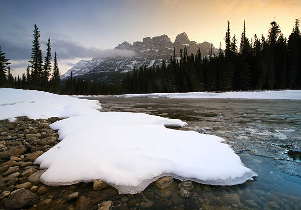 montanhas rochosas canadenses - vibrant color forest ice snow - fotografias e filmes do acervo