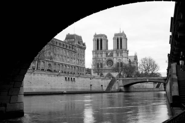 파리 노트르담 - rose window ile de la cite paris france notre dame 뉴스 사진 이미지