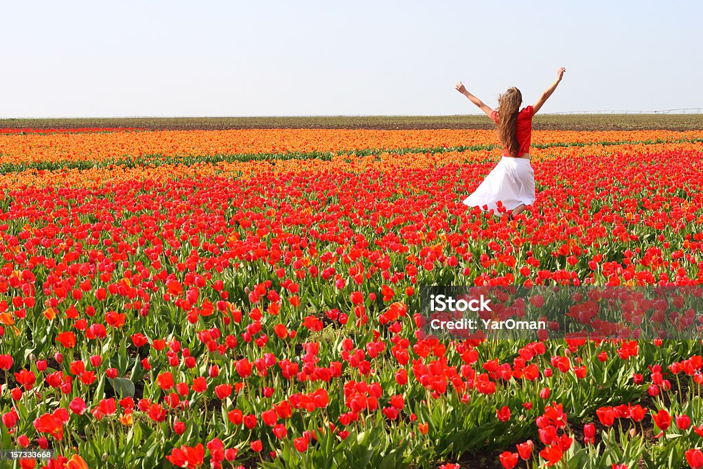 Fille est dans le champ de tulipes - Photo de Champ libre de droits