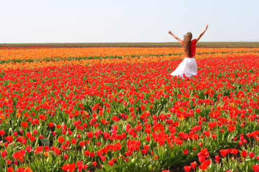 girl is in the field of tulips