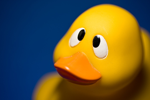 Banner. Yellow toy duckling for bathing on the blue background. Copy space.