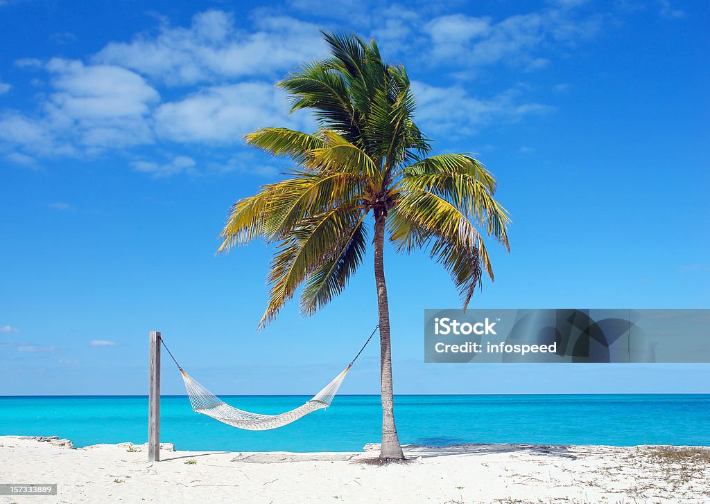 Rede na praia em Bahamas com palmeiras - Foto de stock de Bahamas royalty-free