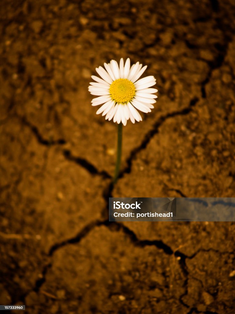 O poder da vida - Foto de stock de Crescimento royalty-free