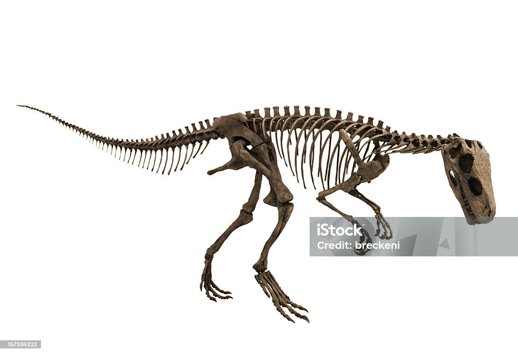 Herrerasaurus-alt view - Foto de stock de Dinossauro royalty-free