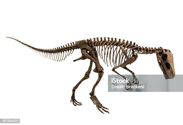 Foto de Herrerasaurusalt View e mais fotos de stock de Dinossauro - Dinossauro, Fóssil, Figura para recortar