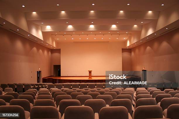 Empty Auditorium With Grey Seats And Downlights Stock Photo - Download Image Now - Auditorium, Stage - Performance Space, Convention Center