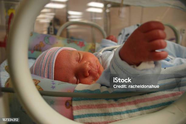 엿봄 통해 인큐베이터 아기에 대한 스톡 사진 및 기타 이미지 - 아기, 인큐베이터, 신생아 집중치료실