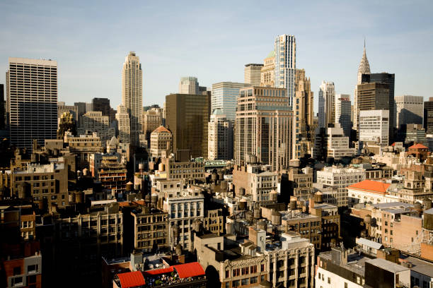 Concrete Jungle New York City