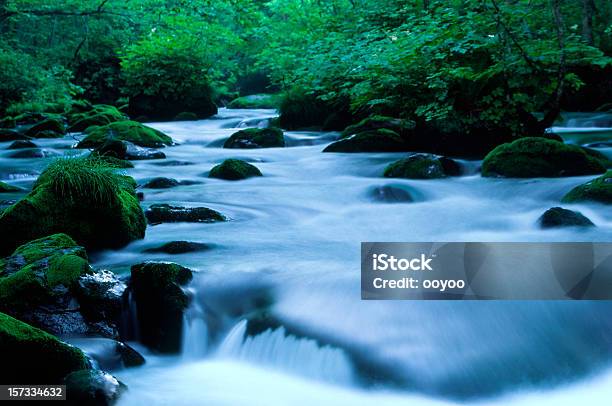 Foto de Fluxo Da Manhã e mais fotos de stock de Riacho - Riacho, Bosque - Floresta, Budismo