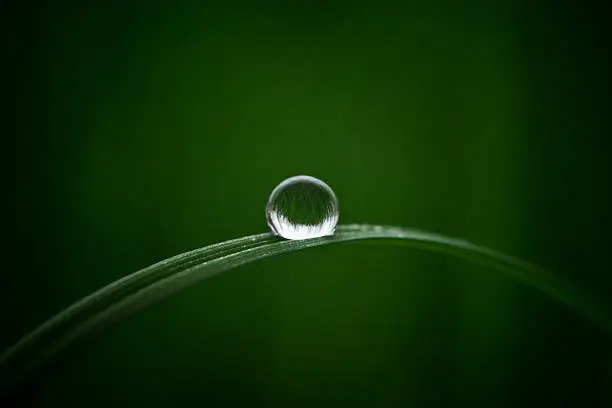 Photo of Water drop