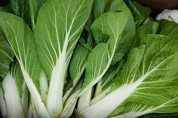 close up view of neue bok choy - chinesischer senfkohl stock-fotos und bilder