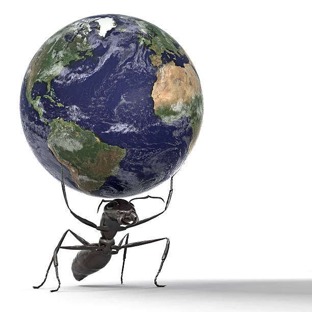 муравей lifting the earth - close up touching animal antenna стоковые фото и изображения