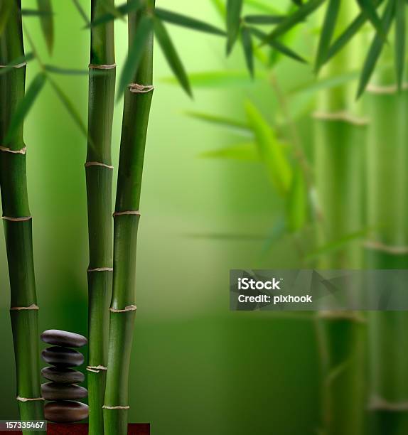 Photo libre de droit de Jungle De Fengshui banque d'images et plus d'images libres de droit de Bambou - Bambou, Caillou, Couleur verte