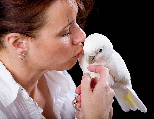 istock Woman Holding a Cockatoo 157335628
