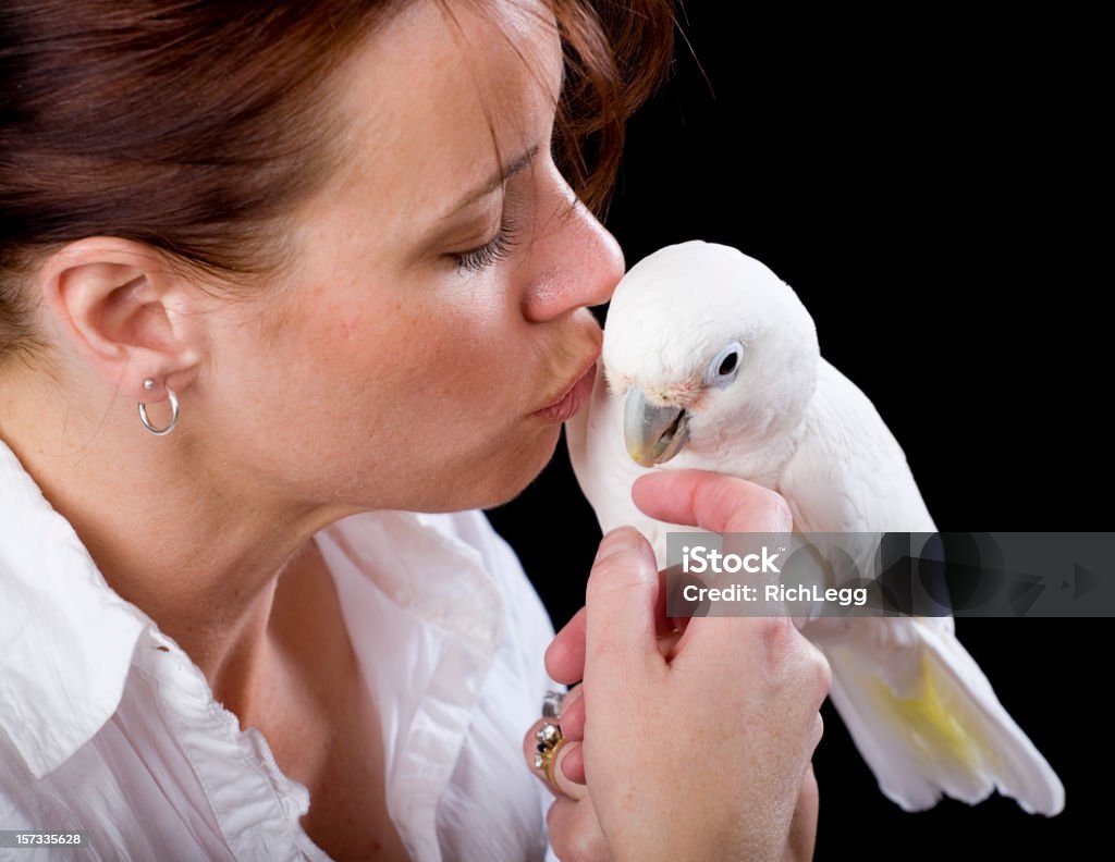 Woman Holding a Cockatoo A woman kissing a cockatoo against a black background. Cockatoo Stock Photo