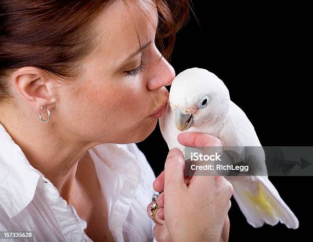 Woman Holding A Cockatoo Stock Photo - Download Image Now - Cockatoo, Pets, Stroking