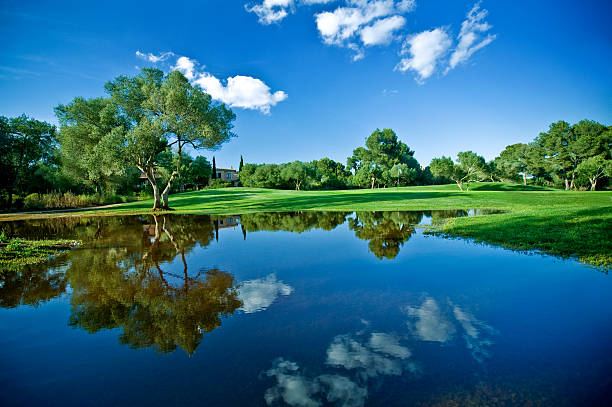 sommer-landschaft - standing water grass area meadow lawn stock-fotos und bilder