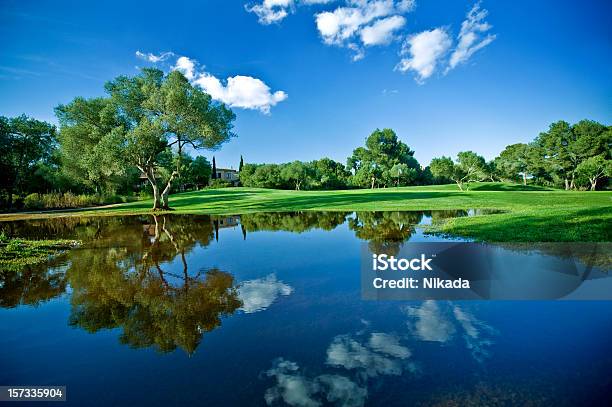 Paesaggio Estivo - Fotografie stock e altre immagini di Campo da golf - Campo da golf, Acqua, Stagno - Acqua stagnante