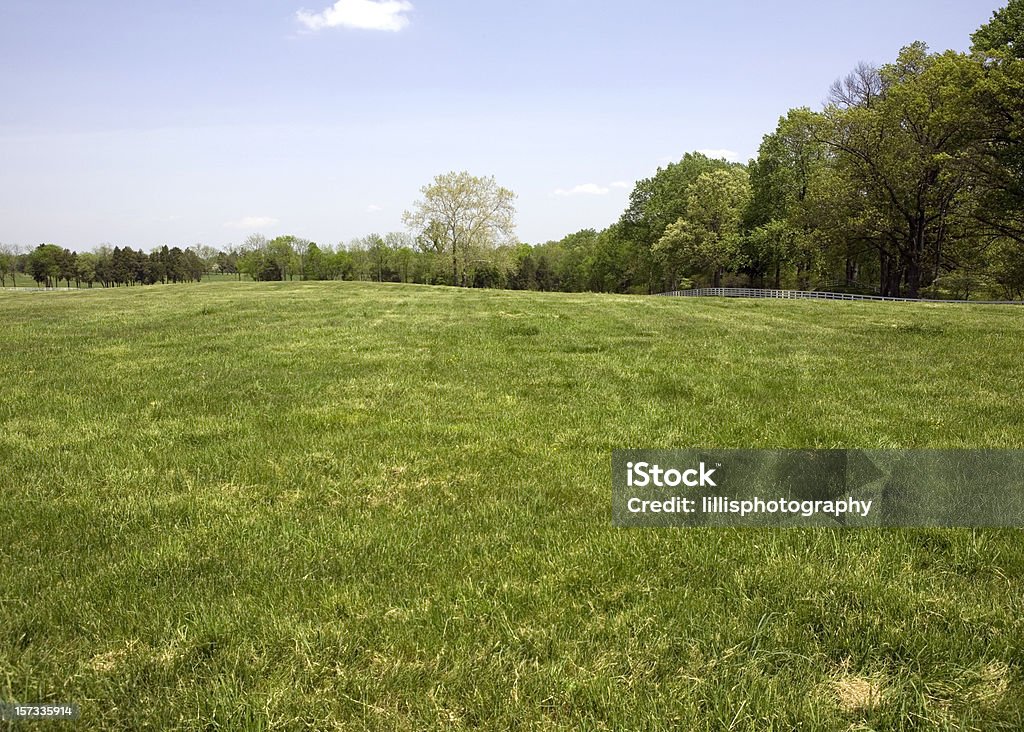 Grünen Wiese mit weißen Zaun - Lizenzfrei Agrarbetrieb Stock-Foto