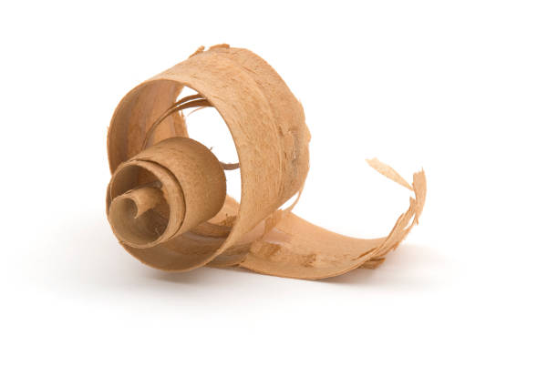 istock Close-up Wood Curl/Shaving #10-isolated on white 157336195
