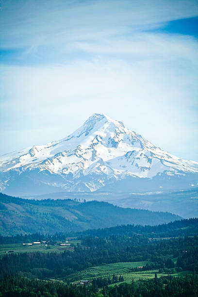Mount Hood, Oregon State Beautiful Mt. Hood, taken from the Washington side of the Columbia river.  Beautiful blue sky; vertical with copy space. mt hood stock pictures, royalty-free photos & images