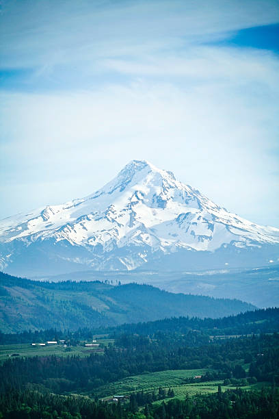 mount hood, oregon state - góra hood zdjęcia i obrazy z banku zdjęć