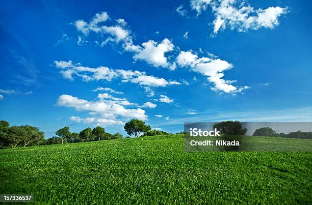 Foto de Dia De Verão e mais fotos de stock de Agricultura - Agricultura, Ajardinado, Azul