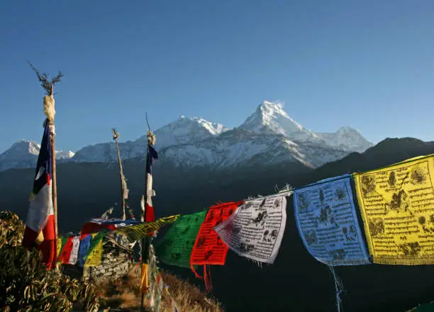 Photo of Colorful Tibetan prayer flags and the Annapurna mountains