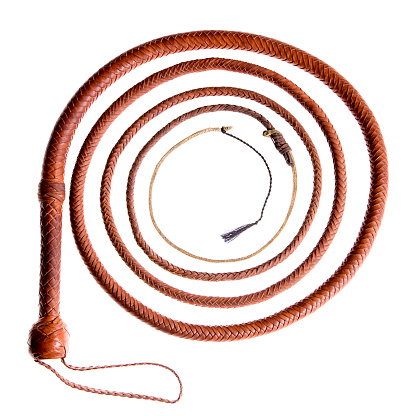 A leather bullwhip isolated on a white background.
