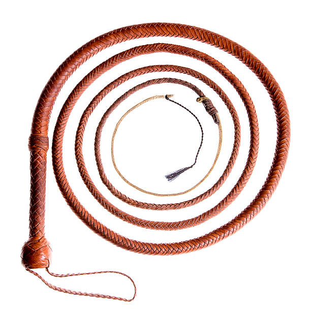 chicote de couro - bullwhip imagens e fotografias de stock