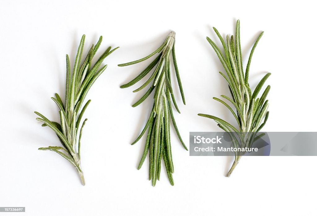 Fresh rosemary sprigs or Rosmarinus officinalis on white This Picture is made in my Daylight Studio. Rosemary Stock Photo