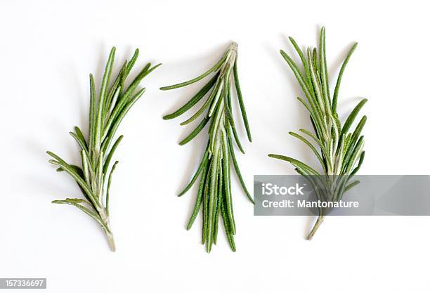 Fresh Rosemary Sprigs Or Rosmarinus Officinalis On White Stock Photo - Download Image Now