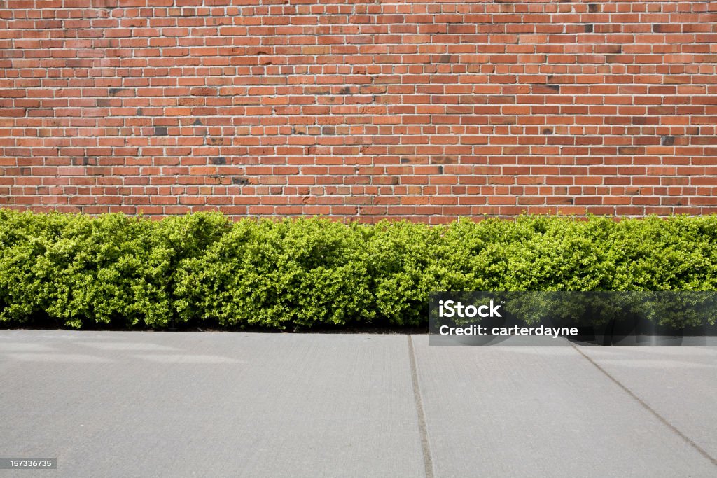 Ziegelmauer mit Hecke Sträucher als Hintergrund oder Kulisse - Lizenzfrei Gehweg Stock-Foto