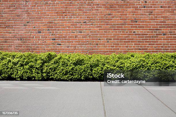 Ziegelmauer Mit Hecke Sträucher Als Hintergrund Oder Kulisse Stockfoto und mehr Bilder von Gehweg