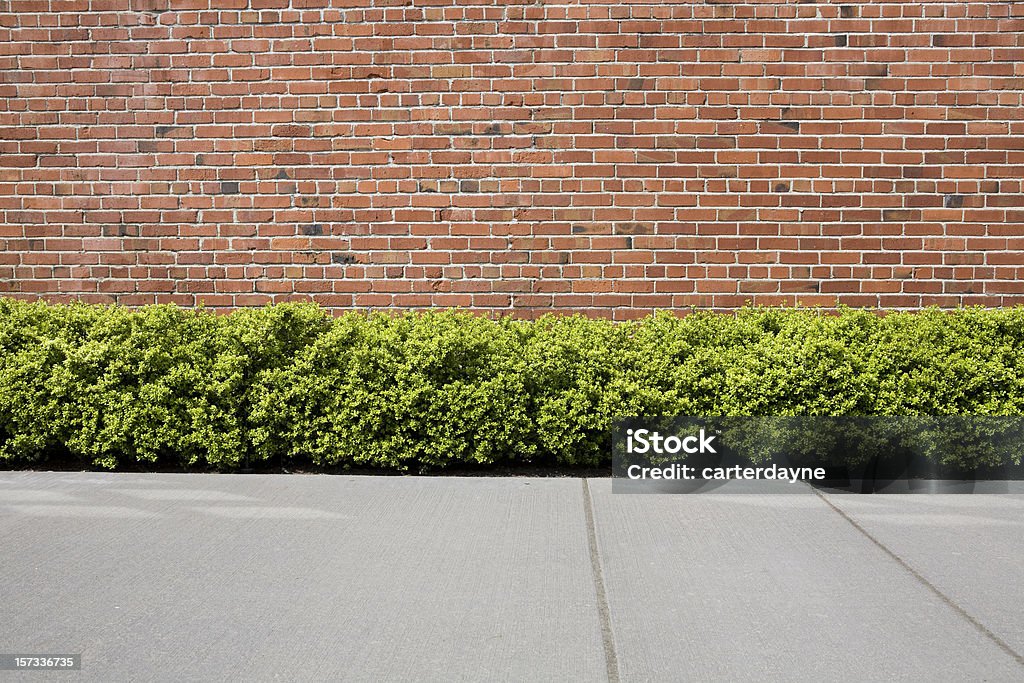 Muro di mattoni con siepe di arbusti come sfondo o sfondo - Foto stock royalty-free di Marciapiede