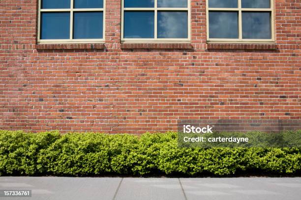 Pared De Ladrillo Con Ventanales Con Mesas En La Acera Y Arbustos Autóctonos Como Fondo Hedge Foto de stock y más banco de imágenes de Aire libre