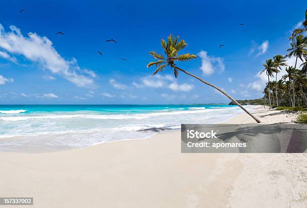 Foto de Areias Brancas Da Praia De Tropical Virgem Uma Grande Imagem e mais fotos de stock de Palmeira