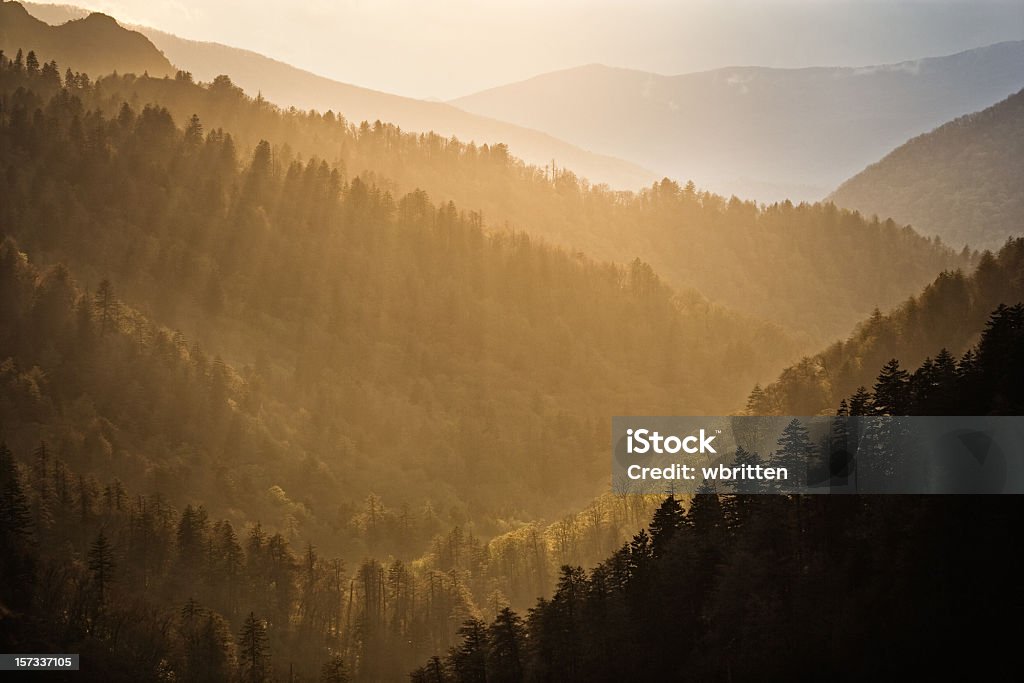 Iluminação espiritual - Foto de stock de Parque Nacional das Great Smoky Mountains royalty-free
